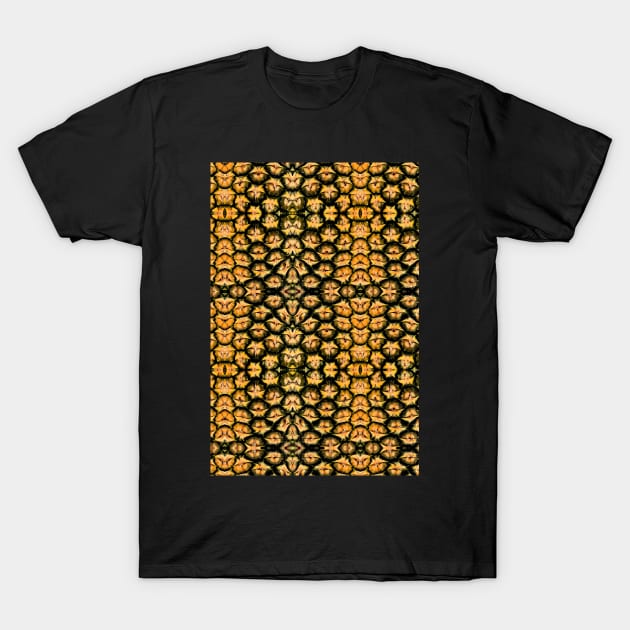 Pineapple T-Shirt by HenriYoki